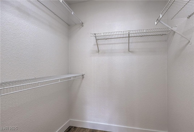 walk in closet featuring dark wood finished floors