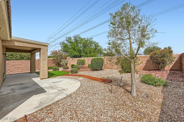 view of yard with a patio and a fenced backyard
