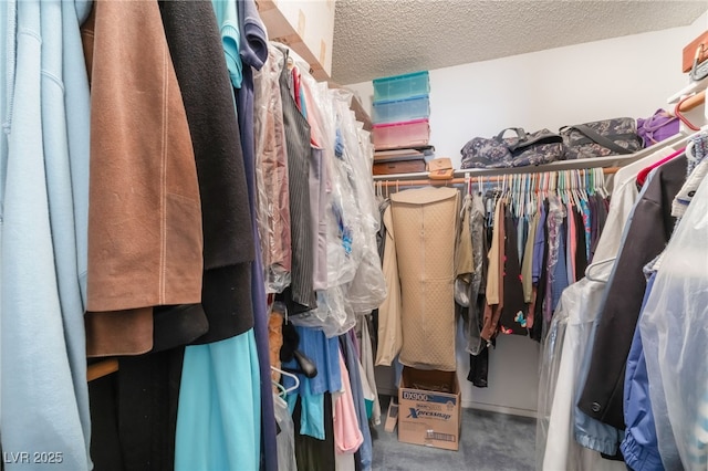 7617 Sea Cliff Way, Las Vegas, NV 89128 - walk in closet featuring carpet flooring
