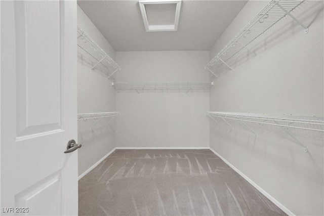 walk in closet with carpet