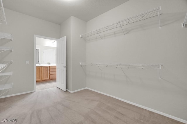 spacious closet with light colored carpet