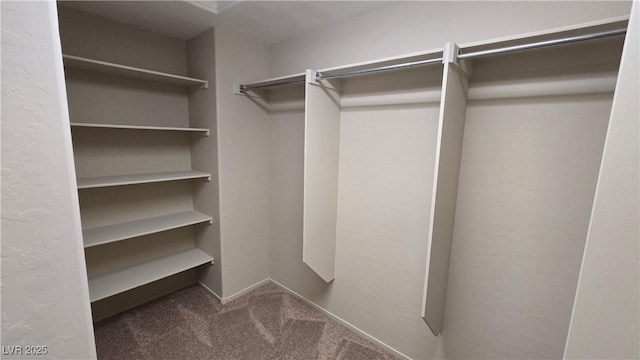 spacious closet with carpet floors