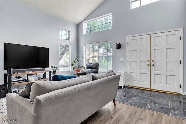 living area featuring high vaulted ceiling