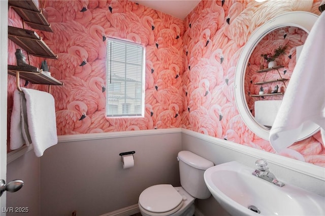 bathroom with wallpapered walls, a sink, wainscoting, and toilet