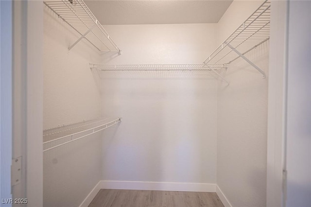 5055 W Hacienda Ave Unit 1097, Las Vegas, NV 89118 - walk in closet with light wood-style floors