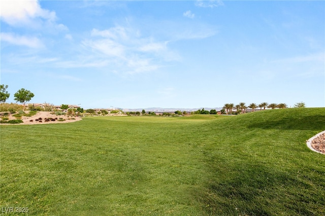 view of home's community with a yard