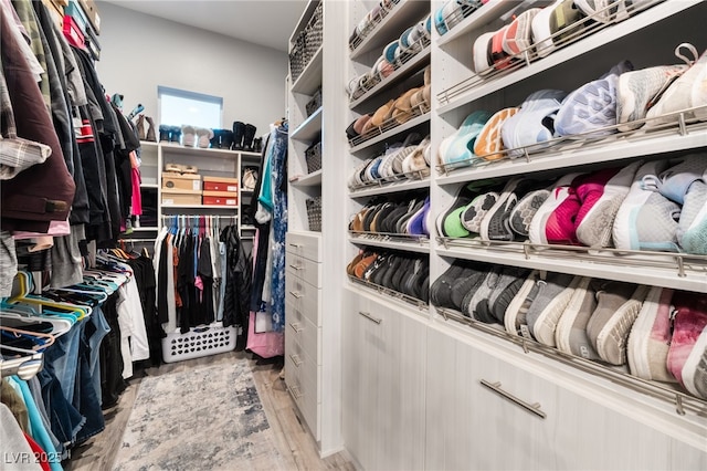 5865 Alice Landing Ct, Las Vegas, NV 89149 - spacious closet featuring wood finished floors