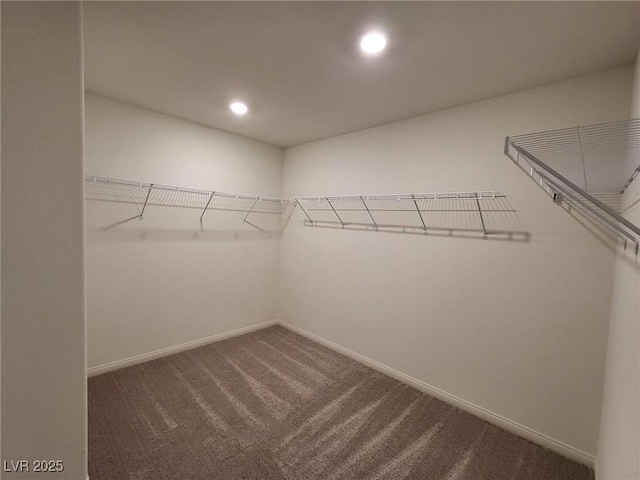7672 Lush Oasis Ave, Las Vegas, NV 89113 - walk in closet with carpet floors
