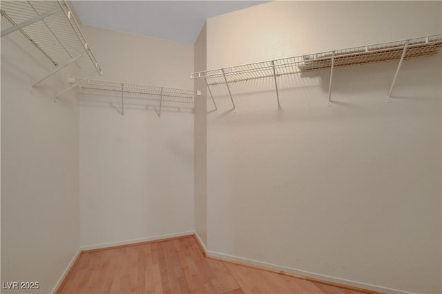 spacious closet featuring light wood-type flooring