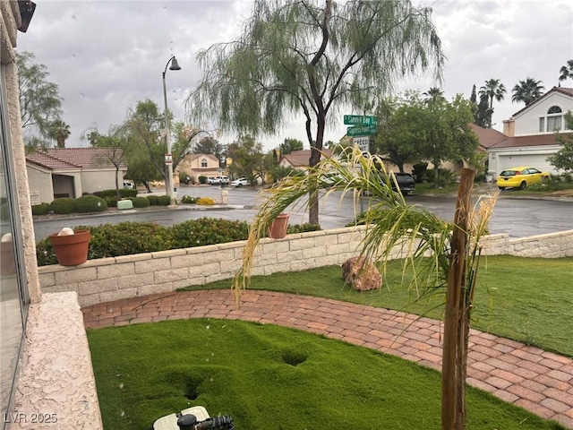 view of green lawn