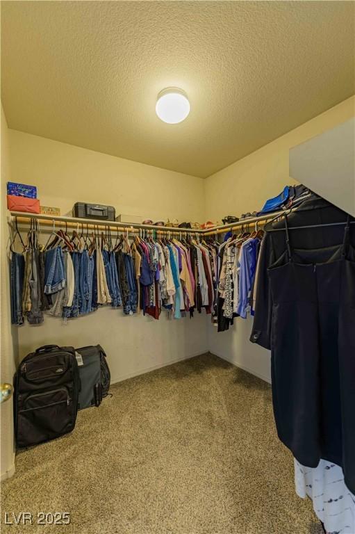 walk in closet featuring carpet