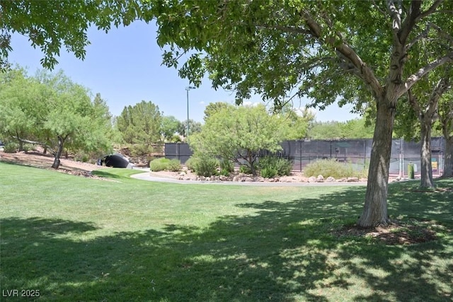 1221 Diamond Valley St, Henderson, NV 89052 - view of yard