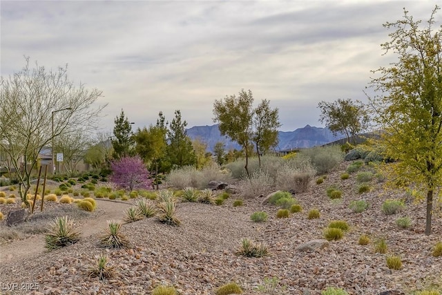 12429 Alpenglow Ct, Las Vegas, NV 89138 - view of local wilderness with a mountainous background