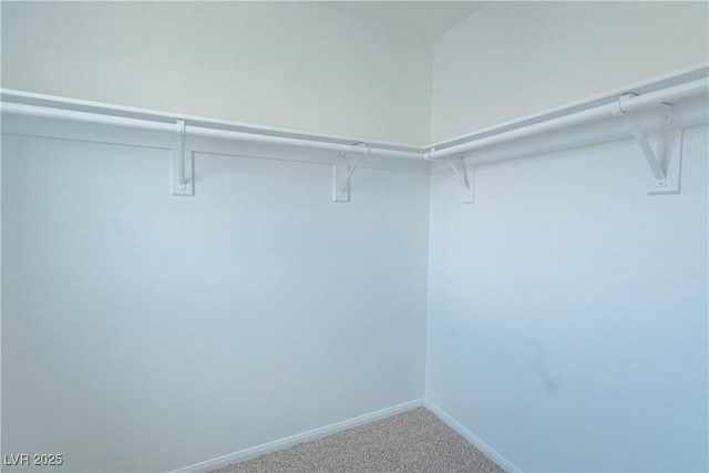 spacious closet with carpet flooring