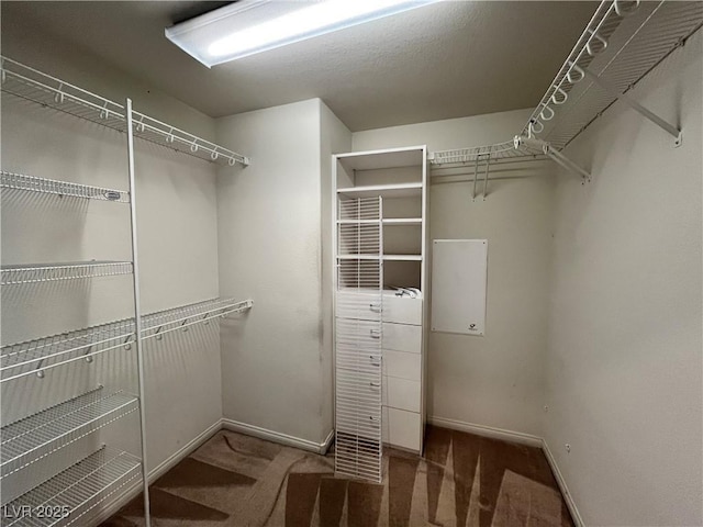 2112 Merganser Ct, North Las Vegas, NV 89084 - spacious closet with carpet