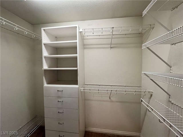 2112 Merganser Ct, North Las Vegas, NV 89084 - view of spacious closet