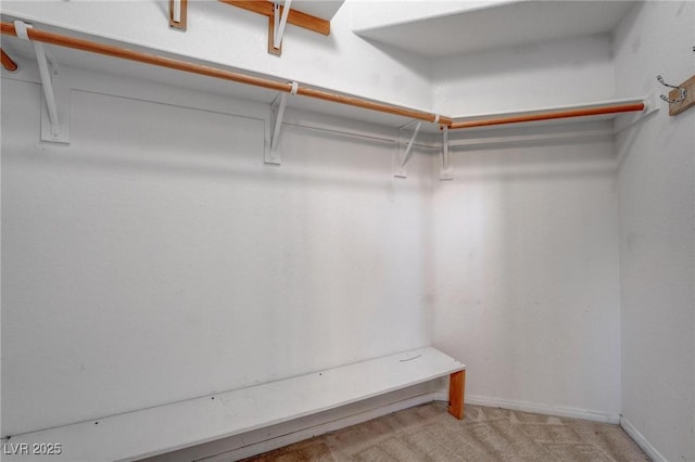 walk in closet with light colored carpet