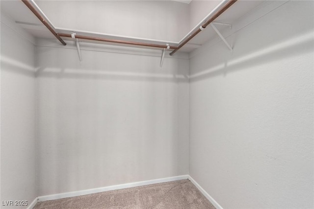 3246 Brookfield Dr, Las Vegas, NV 89120 - walk in closet featuring carpet flooring