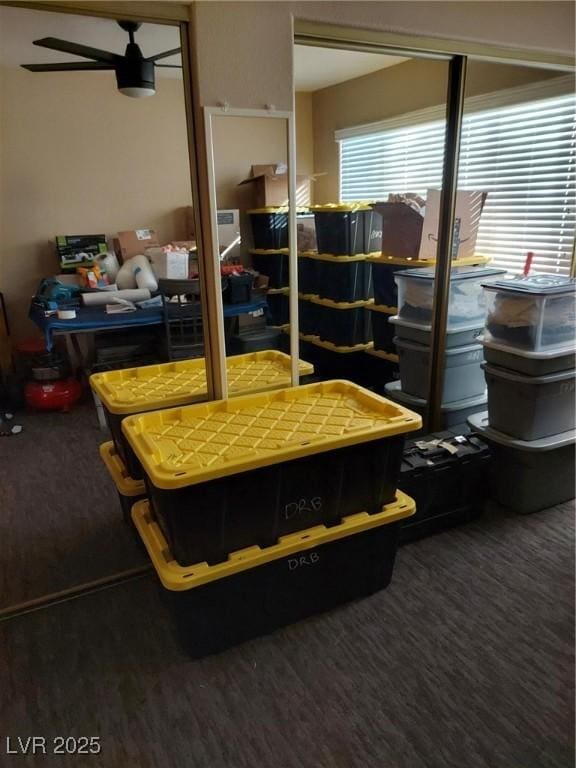 storage room with a ceiling fan