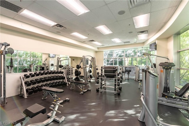 20 E Serene Ave Unit 111, Las Vegas, NV 89123 - gym with a drop ceiling and plenty of natural light