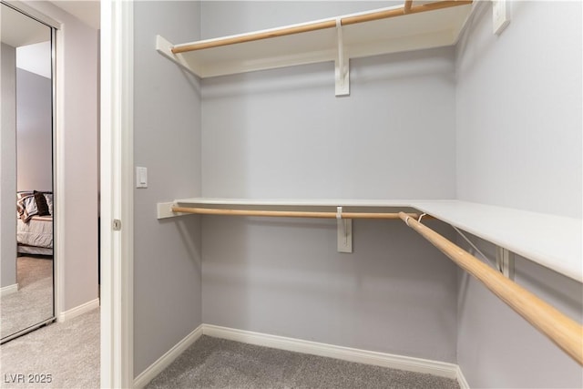 20 E Serene Ave Unit 111, Las Vegas, NV 89123 - walk in closet with light carpet