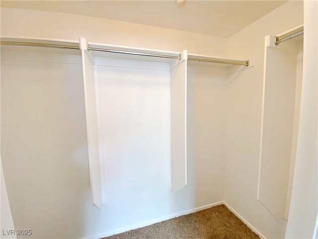 walk in closet with carpet flooring