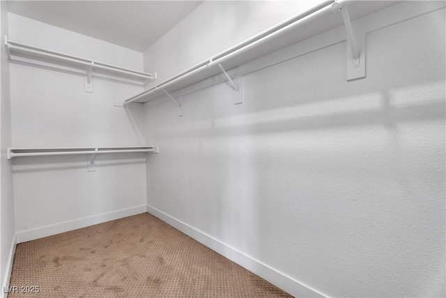 spacious closet with carpet floors