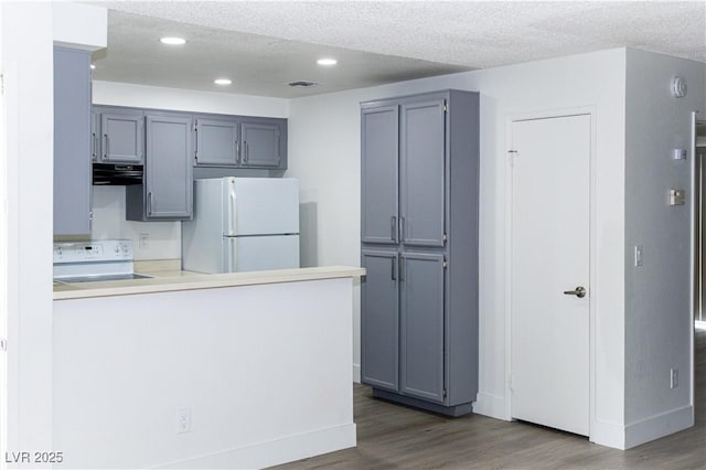 kitchen featuring freestanding refrigerator, range, wood finished floors, a textured ceiling, and recessed lighting