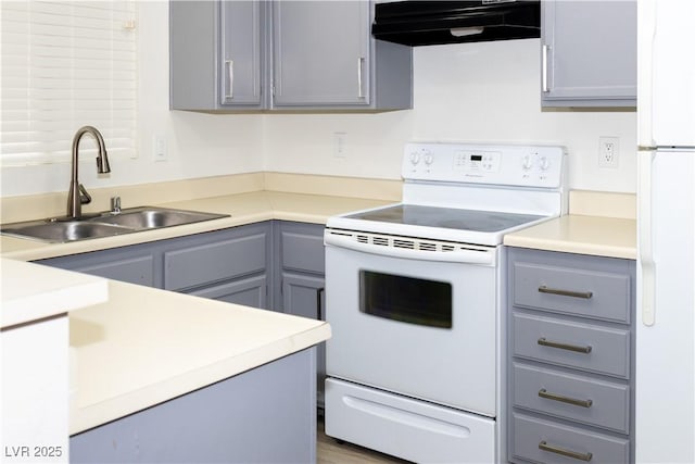 kitchen featuring white appliances, under cabinet range hood, a sink, gray cabinetry, and light countertops
