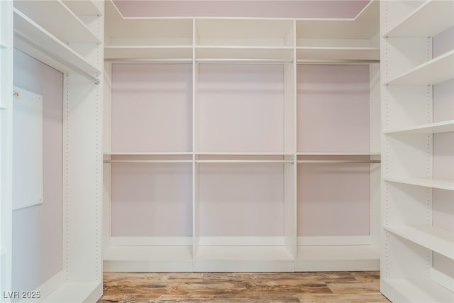 walk in closet with wood finished floors