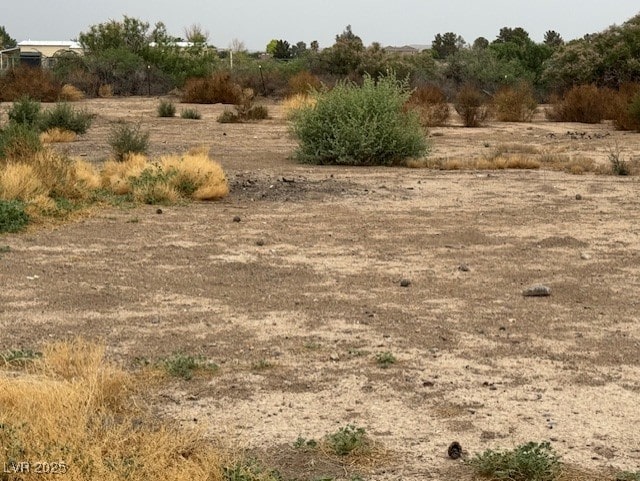 810 Catherine Ave, Overton, NV 89040 - photo 4