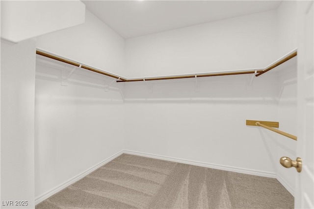 walk in closet with carpet
