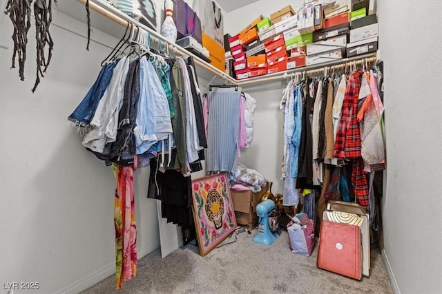 4526 Cloudrest Peak St, North Las Vegas, NV 89031 - walk in closet featuring carpet