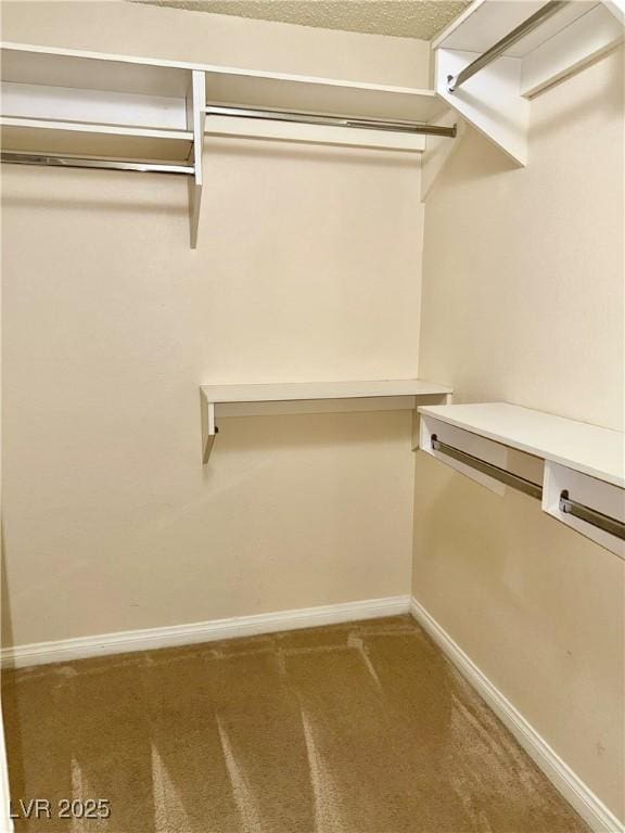 walk in closet with carpet floors