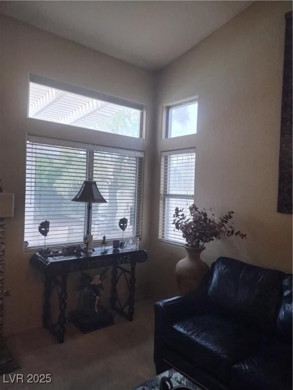 7894 W Patrick Ln, Las Vegas, NV 89113 - view of carpeted office space