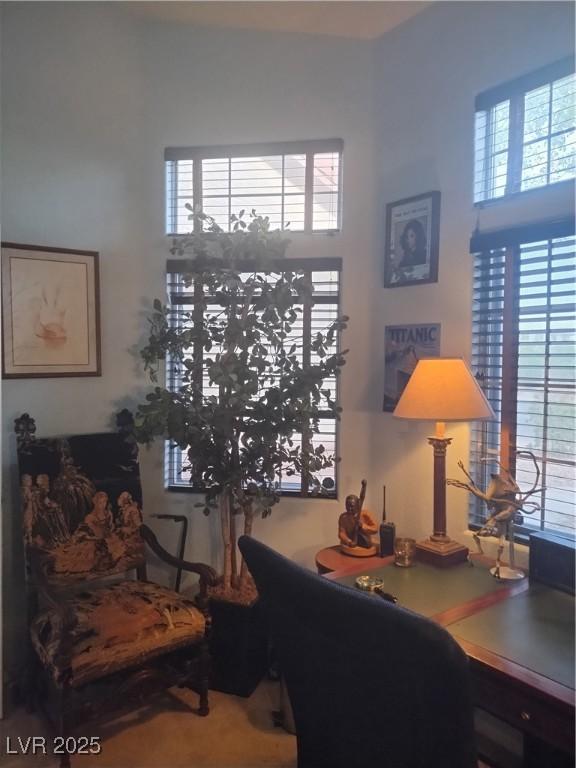 7894 W Patrick Ln, Las Vegas, NV 89113 - view of office