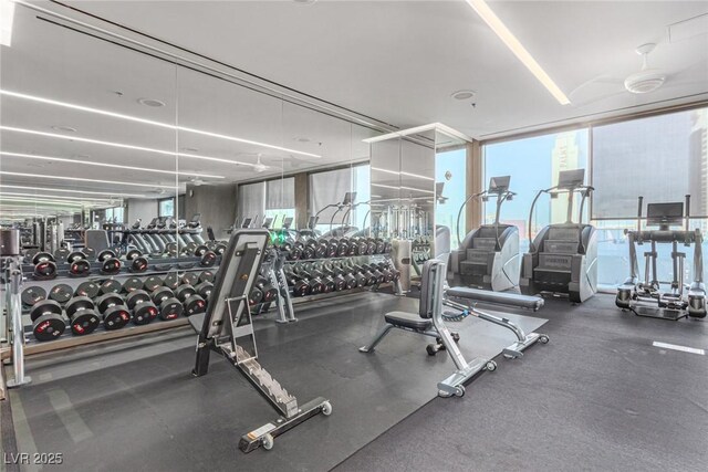 exercise room featuring floor to ceiling windows