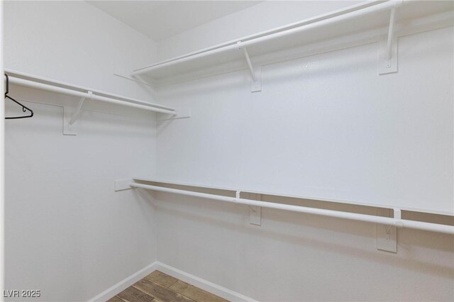 1246 E Gary Ave, Las Vegas, NV 89123 - walk in closet with wood finished floors