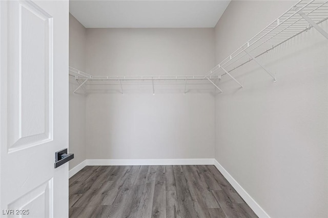 spacious closet with wood finished floors
