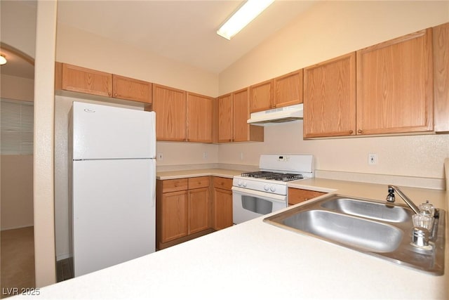 8842 Duncan Barrel Ave Unit 101, Las Vegas, NV 89178 - kitchen featuring white appliances, under cabinet range hood, lofted ceiling, a sink, and light countertops