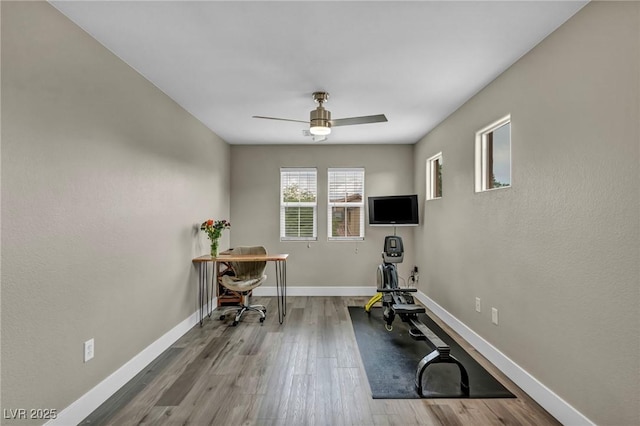 workout room featuring wood finished floors, a ceiling fan, and baseboards