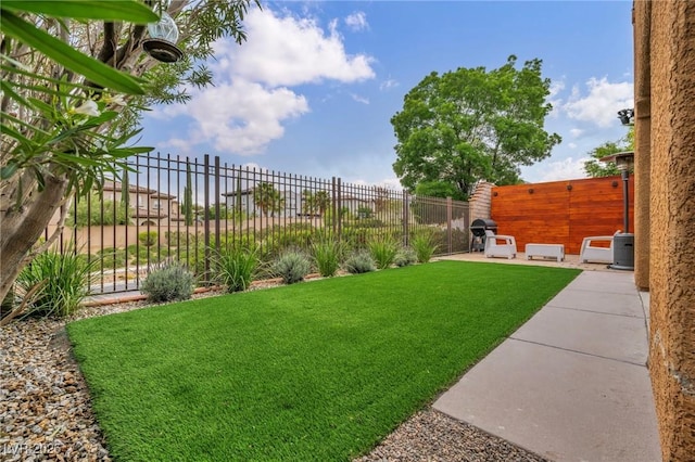 view of yard featuring a patio area