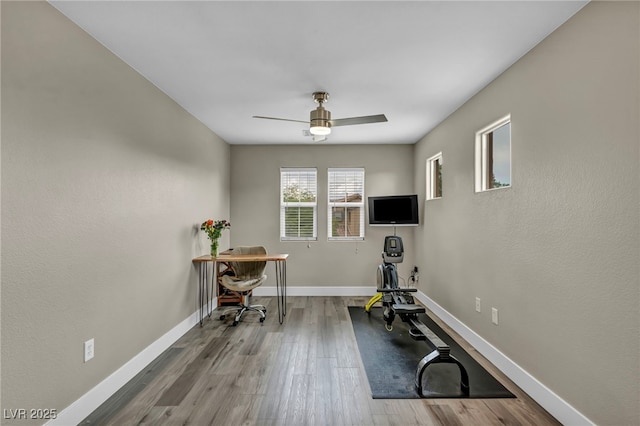617 Apricot Rose Pl, Las Vegas, NV 89138 - workout room with wood finished floors and a ceiling fan