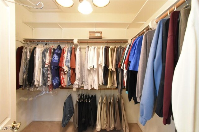 view of spacious closet