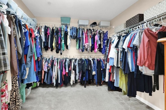 3141 Monet Sunrise Ave, Henderson, NV 89044 - walk in closet featuring carpet floors