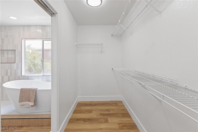 spacious closet with light wood-type flooring
