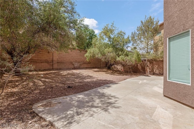 fenced backyard featuring a patio