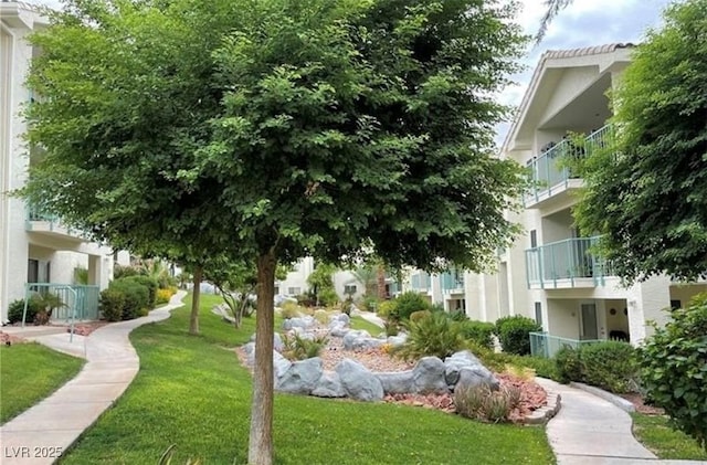 view of community with a yard