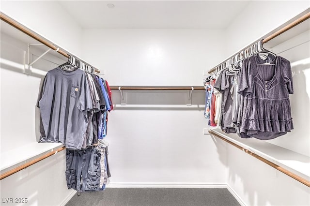 1267 Dorado Sea Ct, Henderson, NV 89052 - spacious closet featuring carpet