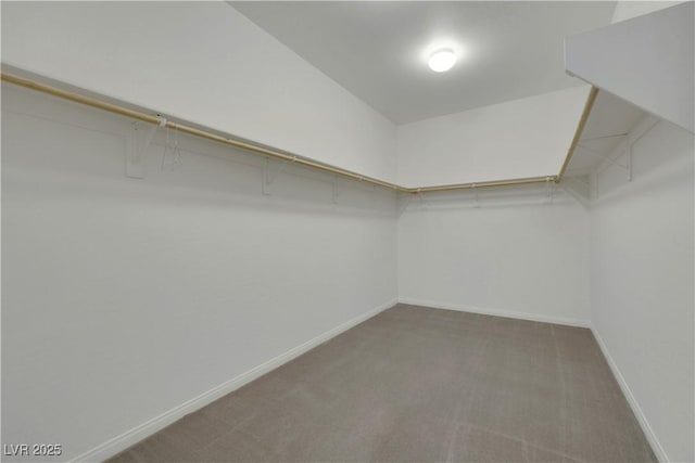 walk in closet with carpet flooring